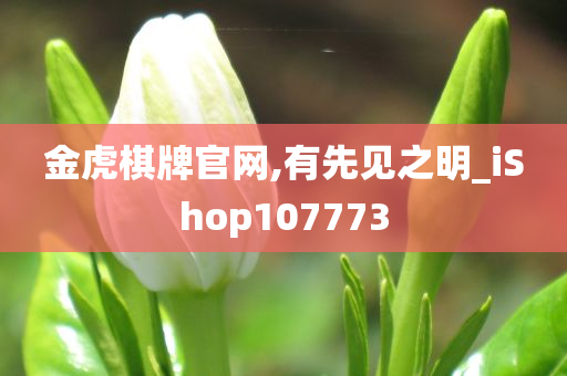 金虎棋牌官网,有先见之明_iShop107773