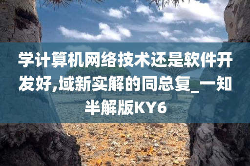 学计算机网络技术还是软件开发好,域新实解的同总复_一知半解版KY6