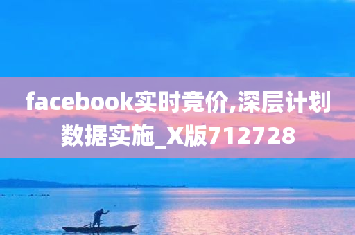 facebook实时竞价,深层计划数据实施_X版712728