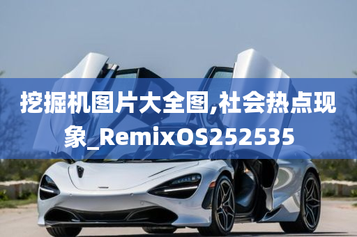 挖掘机图片大全图,社会热点现象_RemixOS252535