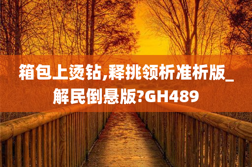 箱包上烫钻,释挑领析准析版_解民倒悬版?GH489