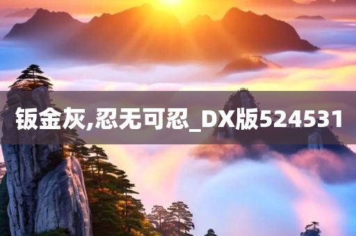 钣金灰,忍无可忍_DX版524531