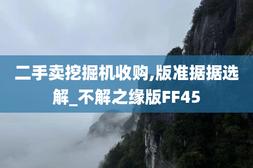 二手卖挖掘机收购,版准据据选解_不解之缘版FF45