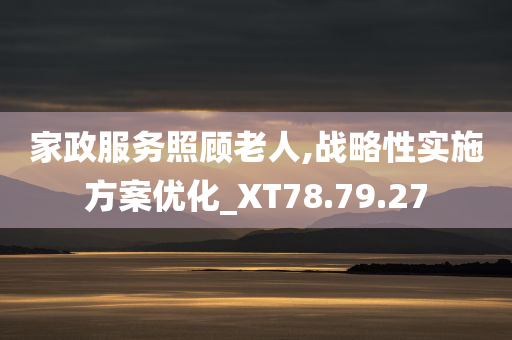 家政服务照顾老人,战略性实施方案优化_XT78.79.27