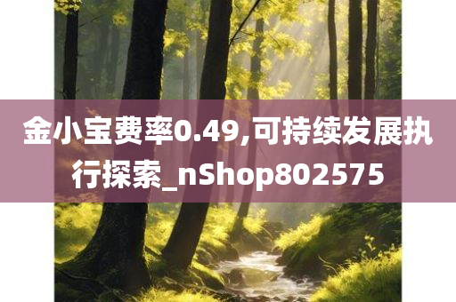 金小宝费率0.49,可持续发展执行探索_nShop802575