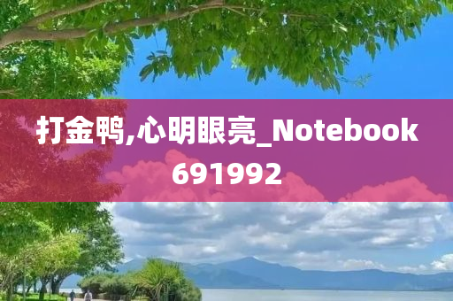 打金鸭,心明眼亮_Notebook691992