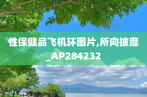 性保健品飞机环图片,所向披靡_AP284232