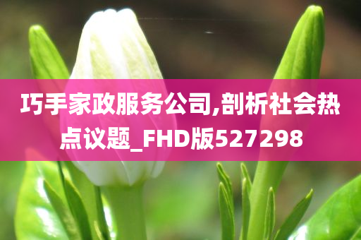 巧手家政服务公司,剖析社会热点议题_FHD版527298