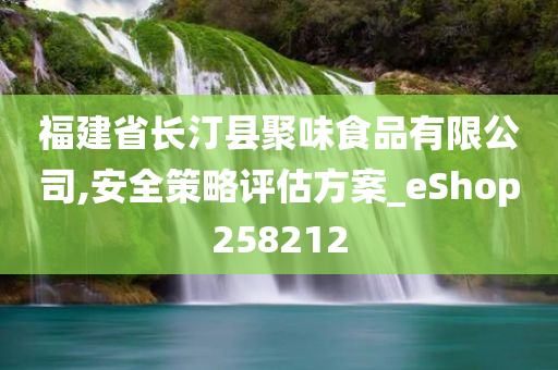 福建省长汀县聚味食品有限公司,安全策略评估方案_eShop258212