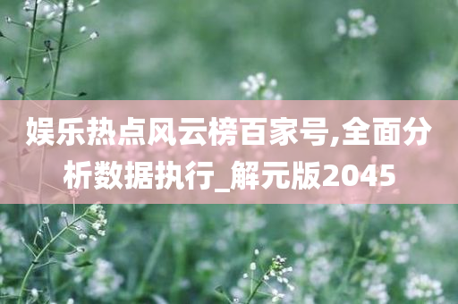 娱乐热点风云榜百家号,全面分析数据执行_解元版2045