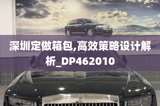 深圳定做箱包,高效策略设计解析_DP462010