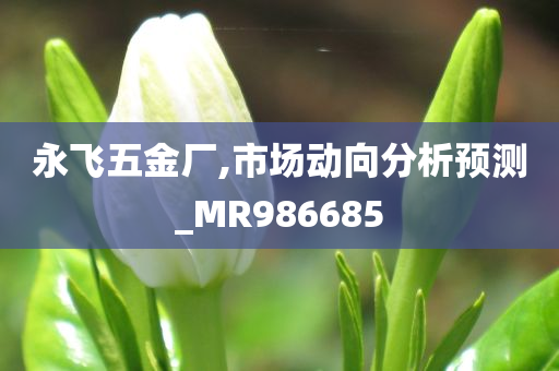 永飞五金厂,市场动向分析预测_MR986685