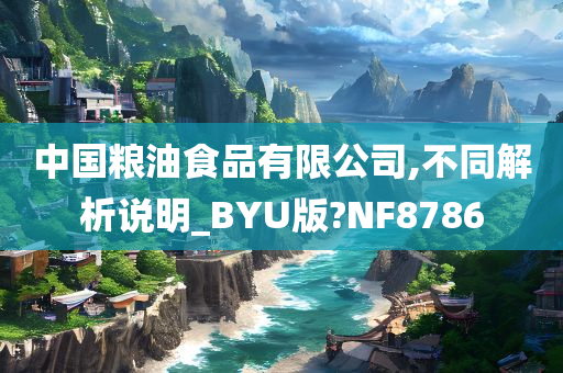 中国粮油食品有限公司,不同解析说明_BYU版?NF8786