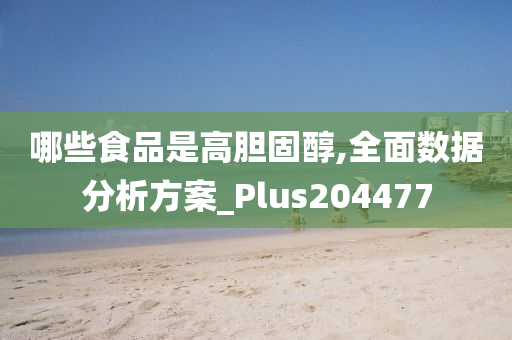 哪些食品是高胆固醇,全面数据分析方案_Plus204477