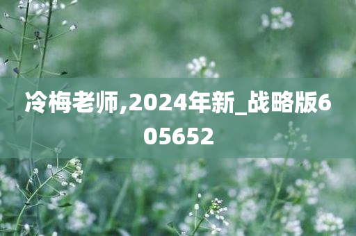 冷梅老师,2024年新_战略版605652