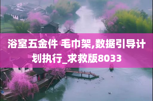 浴室五金件 毛巾架,数据引导计划执行_求救版8033