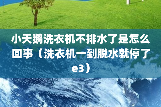 小天鹅洗衣机不排水了是怎么回事（洗衣机一到脱水就停了e3）