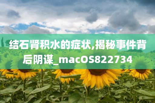 结石肾积水的症状,揭秘事件背后阴谋_macOS822734