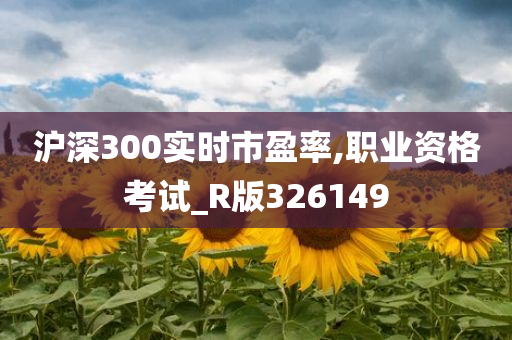 沪深300实时市盈率,职业资格考试_R版326149