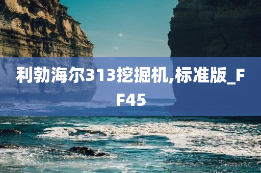 利勃海尔313挖掘机,标准版_FF45