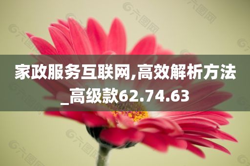 家政服务互联网,高效解析方法_高级款62.74.63