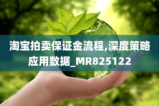 淘宝拍卖保证金流程,深度策略应用数据_MR825122