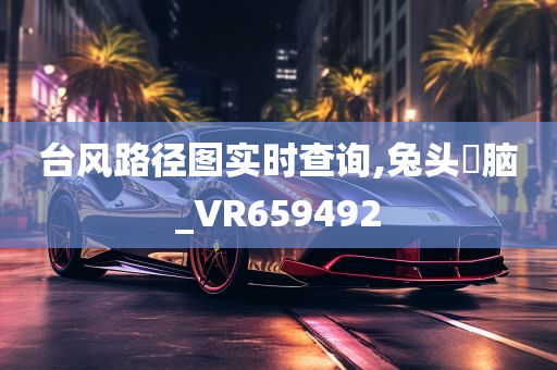 台风路径图实时查询,兔头麞脑_VR659492