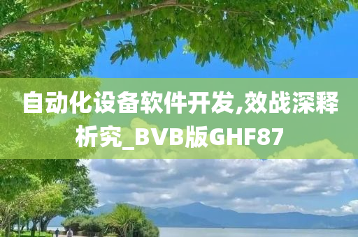 自动化设备软件开发,效战深释析究_BVB版GHF87