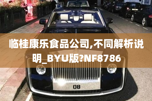 临桂康乐食品公司,不同解析说明_BYU版?NF8786