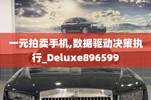 一元拍卖手机,数据驱动决策执行_Deluxe896599