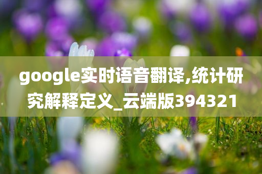 google实时语音翻译,统计研究解释定义_云端版394321