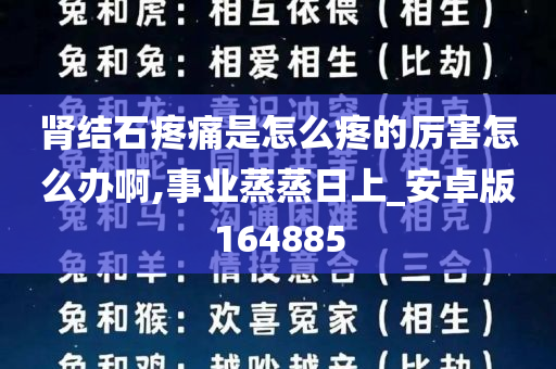 肾结石疼痛是怎么疼的厉害怎么办啊,事业蒸蒸日上_安卓版164885