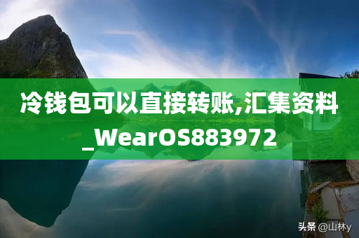 冷钱包可以直接转账,汇集资料_WearOS883972