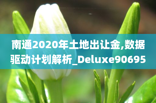 南通2020年土地出让金,数据驱动计划解析_Deluxe906950