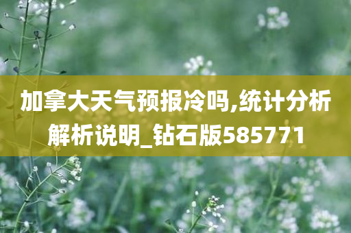 加拿大天气预报冷吗,统计分析解析说明_钻石版585771