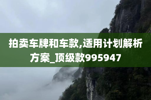 拍卖车牌和车款,适用计划解析方案_顶级款995947