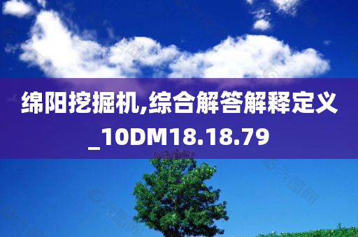 绵阳挖掘机,综合解答解释定义_10DM18.18.79