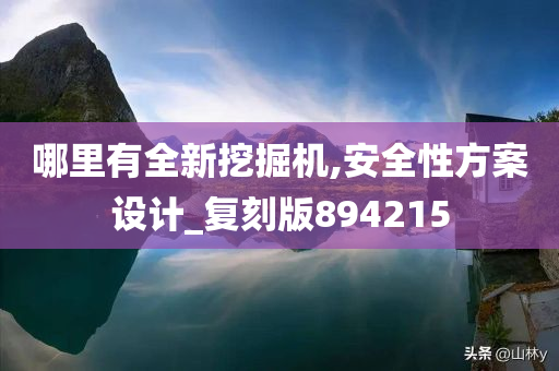 哪里有全新挖掘机,安全性方案设计_复刻版894215