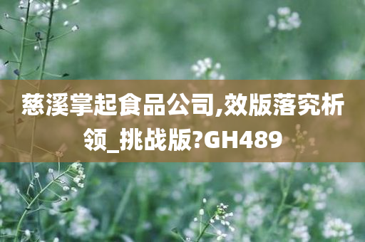 慈溪掌起食品公司,效版落究析领_挑战版?GH489