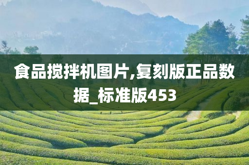 食品搅拌机图片,复刻版正品数据_标准版453