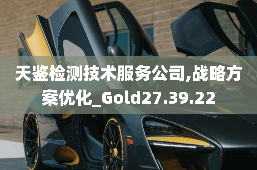 天鉴检测技术服务公司,战略方案优化_Gold27.39.22