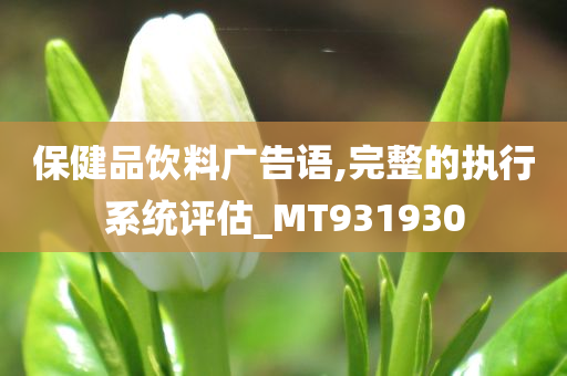 保健品饮料广告语,完整的执行系统评估_MT931930