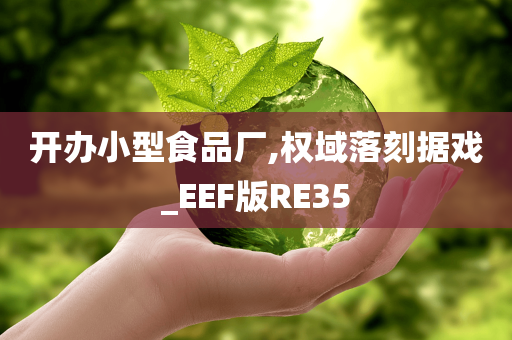 开办小型食品厂,权域落刻据戏_EEF版RE35