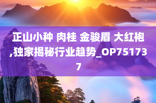 正山小种 肉桂 金骏眉 大红袍,独家揭秘行业趋势_OP751737