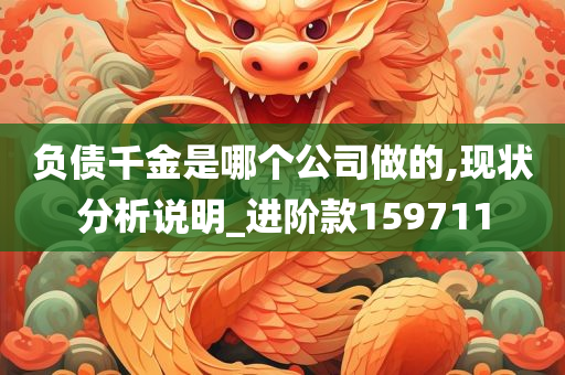 负债千金是哪个公司做的,现状分析说明_进阶款159711