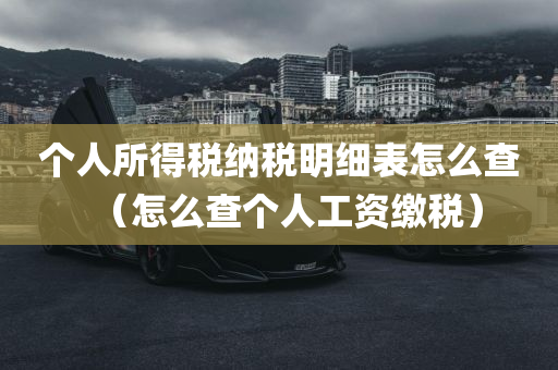 个人所得税纳税明细表怎么查（怎么查个人工资缴税）