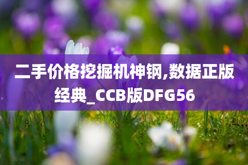 二手价格挖掘机神钢,数据正版经典_CCB版DFG56