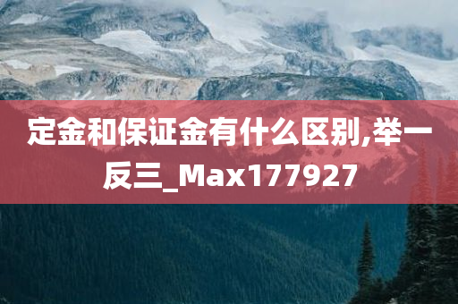 定金和保证金有什么区别,举一反三_Max177927