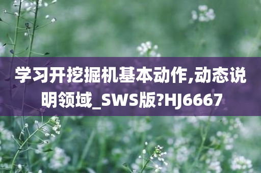 学习开挖掘机基本动作,动态说明领域_SWS版?HJ6667