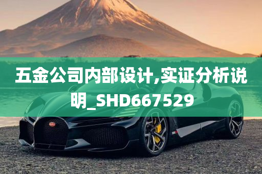 五金公司内部设计,实证分析说明_SHD667529